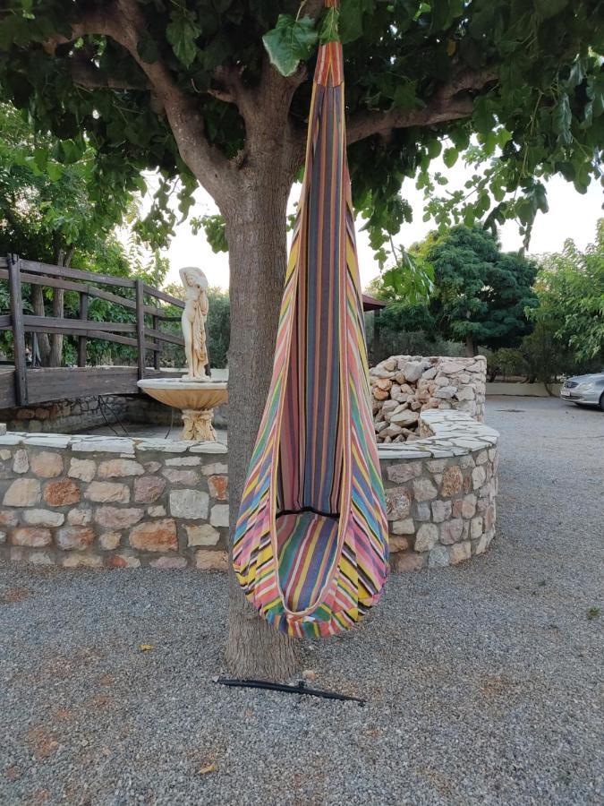 Privatunterkunft Takis Agios Georgios (Laconia)